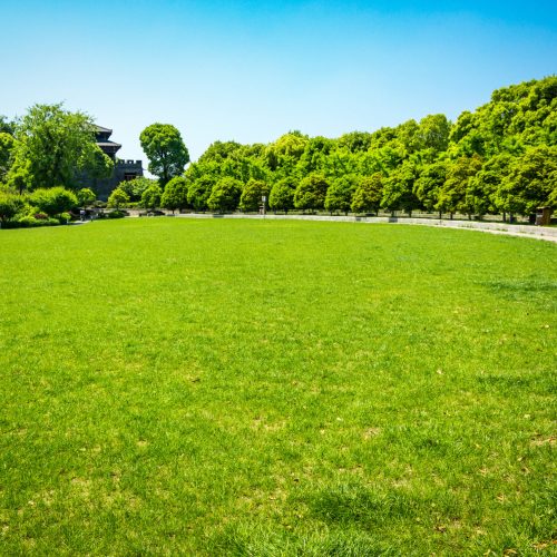 Green city park Green city park